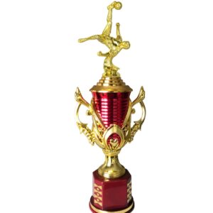 corporate sports event trophie